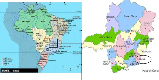 Figura 3 − Mapa de Muriaé, Minas Gerais, Brasil 