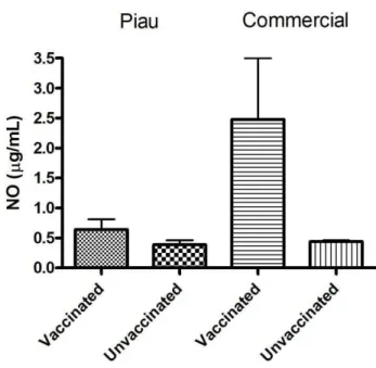 Figure 1. Effect of vaccine against Mycoplasma hyopneumoniae on nitrite production.  Nitric oxide (NO) production by bronchoalveolar lavage fluid (BALF) cells from Piau  and Commercial vaccinated compared to unvaccinated pigs at 10 weeks of age