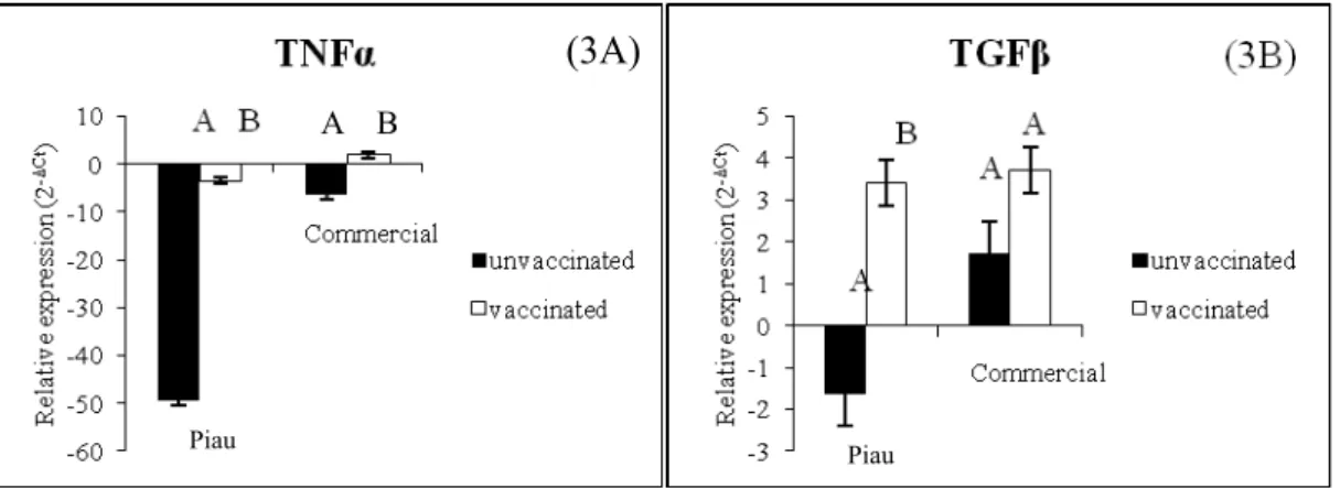 Figure 3. Significant relative expression values (2 -ΔCt ) between vaccinated and  unvaccinated within genetic groups (Piau and commercial) for TNF α (3A, p=0.0063 for  Piau and p=0.0094 for commercial pigs) and TGF  (3B, p=0.0207 for Piau and 