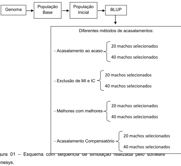 Figura  01  –  Esquema  com  seqüência  de  simulação  realizada  pelo  software  Genesys