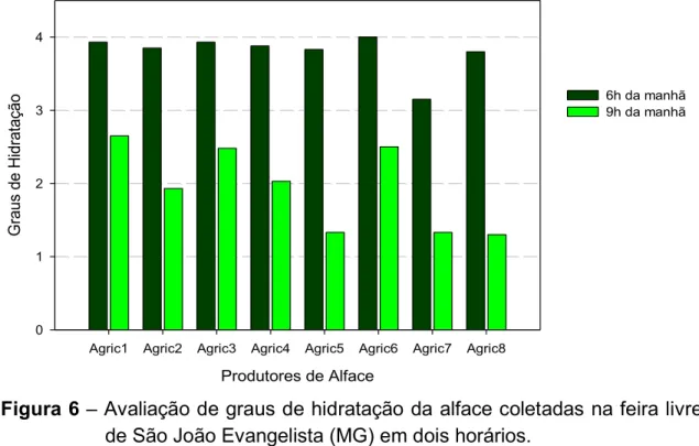 Figura 6  – Avaliação de graus de hidratação da alface coletadas na feira livre  de São João Evangelista (MG) em dois horários