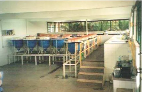 Figura 3.  Laboratório  de  Reprodução Induzida da EPDA – VG  (CEMIG),  Conceição                    das Alagoas, MG, em novembro de 2004