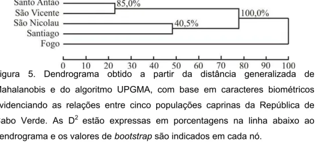 Figura 5. Dendrograma obtido a partir da distância generalizada de  Mahalanobis e do algoritmo UPGMA, com base em caracteres biométricos  evidenciando as relações entre cinco populações caprinas da República de  Cabo Verde