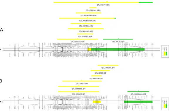 Figure  1  – Visualization  of  the  QTL  meta-analysis  result  on  pig  SSC4  for  individual  traits:  average  daily  gain  – ADG (A) backfat  thickness  – BFT (B)