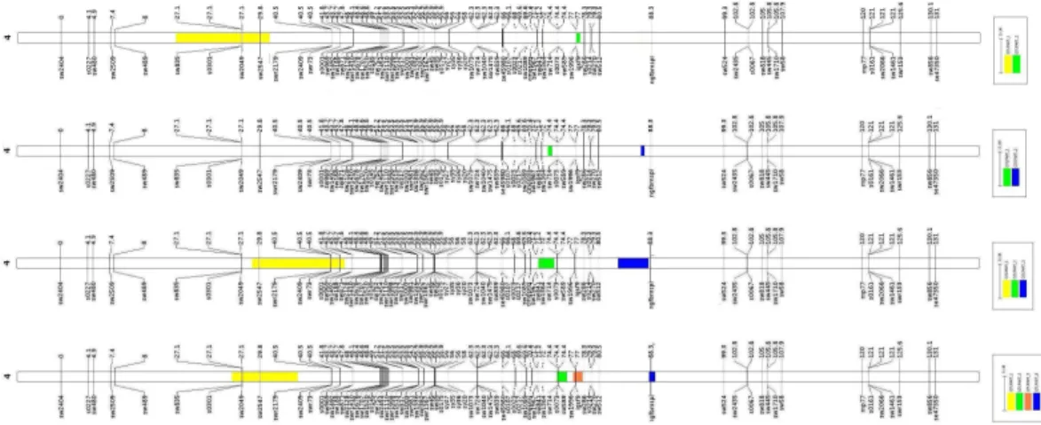 Figure 2 - Visualization of the QTL meta-analysis result on pig SSC4 for each  trait  (from  top  to  bottom):  loin  eye  area  – LEA,  carcass  length  (CRCL),  loin  weight  (LNWT),  and  all  traits  pooled  (ALL)