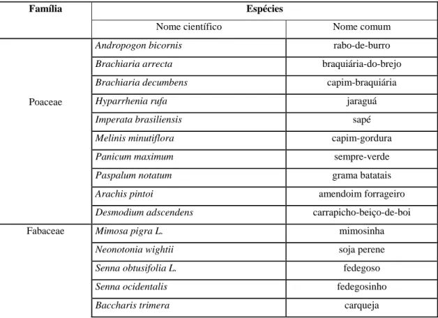 Tabela 1 – Família e espécies presentes no pasto de Melinis minutiflora, em  Viçosa, MG 