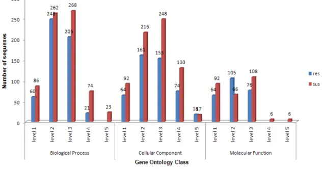 Figure 2.  GO level distribution bar chart for skin cDNA libraries.  