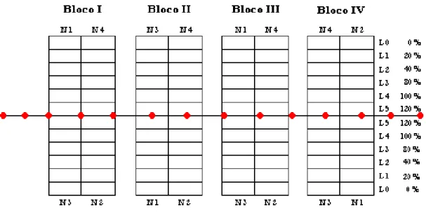 Figura 1 - Representação esquemática do delineamento experimental 