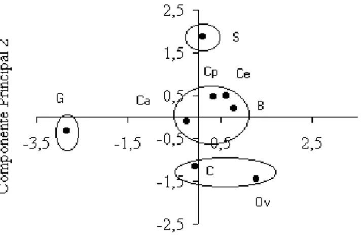 Figura  1.  Dispersão  de  escores  e  agrupamento  por  similaridade  para  os  diferentes  estercos