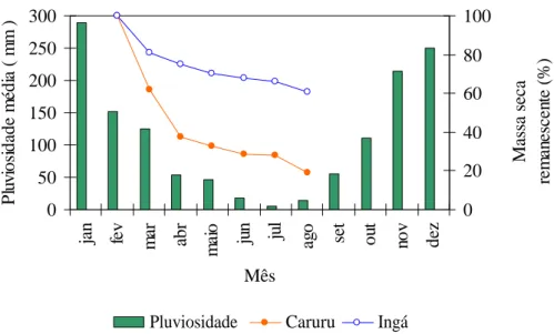 Figura  2.  Percentagens  de  massa  seca  remanescente  do  ingá  e  caruru  e  pluviosidade  média  anual  (mm)  registradas  durante  o  período  de  experimentação,  na  localidade de Praia D  Anta