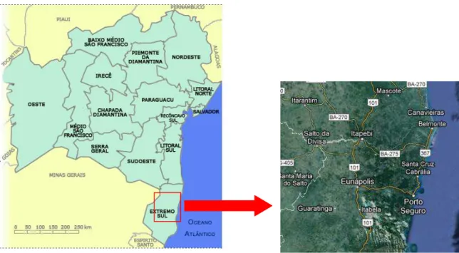 Figura 1. Localização geográfica da área de estudo com realce dos municipios abrangidos  por  plantios de eucalipto