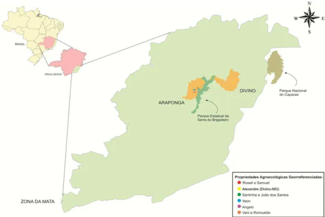 Figura  1  -  Localização  da  Zona  da  Mata  mineira,  dos  municípios  Araponga  e  Divino,  nos  quais  estão  localizados  os  sistemas  agroflorestais  envolvidos  neste  estudo,  o  Parque  Estadual  da  Serra  do  Brigadeiro  e  o  Parque  Nacional