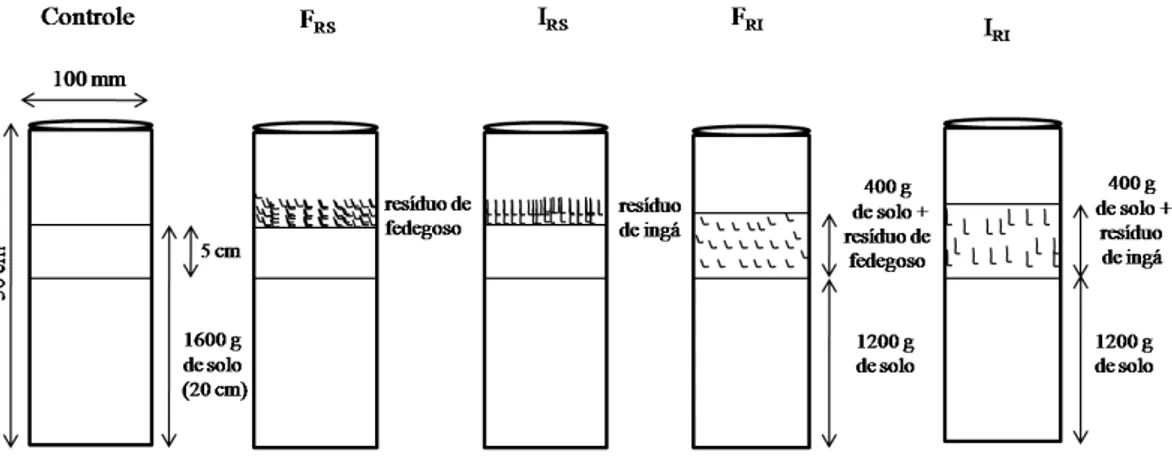 Figura  1  -  Esquema  do  procedimento  de  incubação  do  controle  e  tratamentos  com  resíduos  de  fedegoso  (S)  e  ingá  (I)  incorporados  ao  solo  (F RI  e  I RI )  e 
