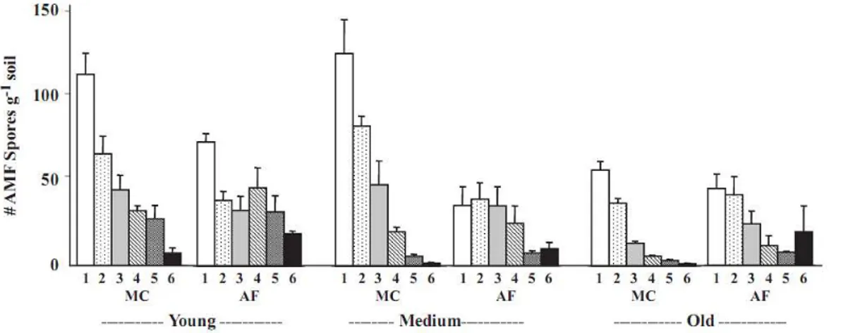 Fig.  1  Average  (and  standard  error;  n=3)  numbers  (#)  of  arbuscular  mycorrhizal  fungi spores at different soil depths (1= 0-1, 2 = 2-3, 3 = 5-7.5, 4 = 10-15.5, 5 =  20-30 and 6 = 40-60 cm depths) under monocultural coffee (MC) and agroforestry (