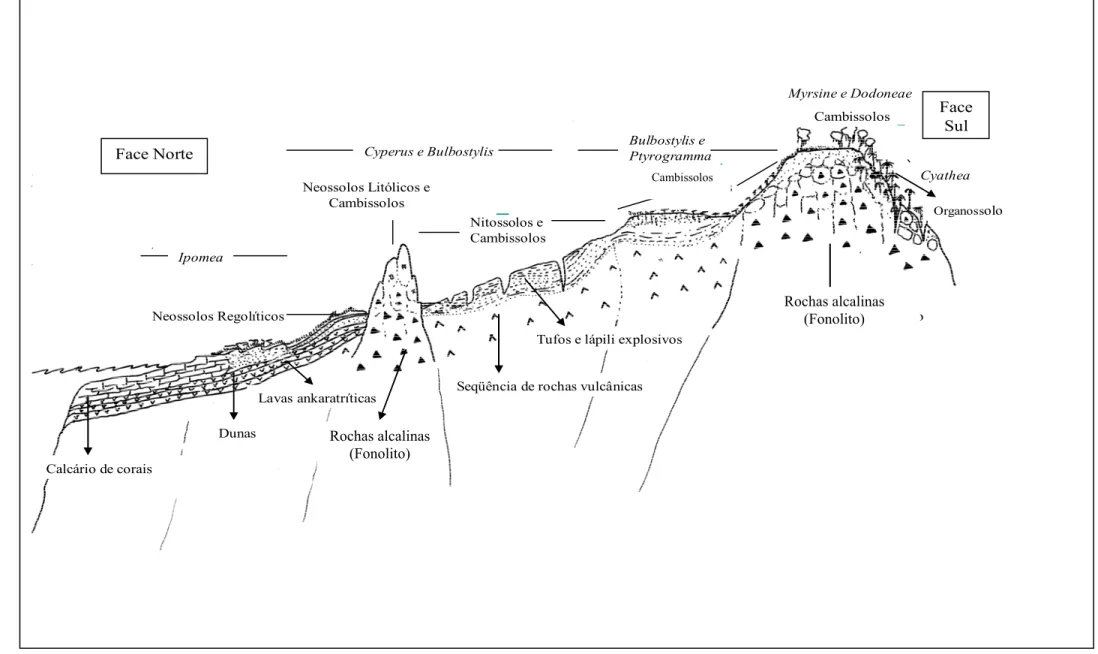 Figura 2 – Bloco-diagrama representando a topossequência de solos e pedoambientes da Ilha da Trindade Calcário de coraisDunasLavas ankaratríticasPlutonintrusivosienítico