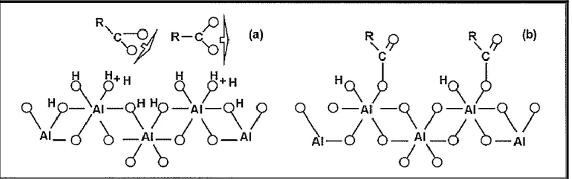 Figura 6 – Ocorrência de pontes metálicas ligando a MOS e minerais argilosos. Fonte:  Silva &amp; Mendonça (2007)