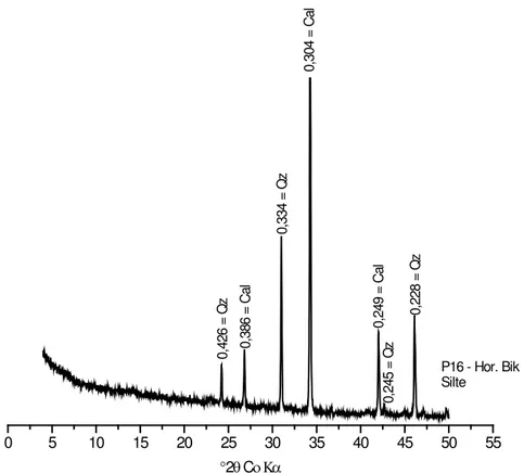 Figura 17. Difratograma  de  raios-X  da fração silte  de um Cambissolo Háplico Ta 