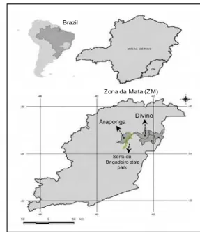 Figure 1. Localization of the municipalities of the study sites in the Zona da Mata  (ZM), state of Minas Gerais