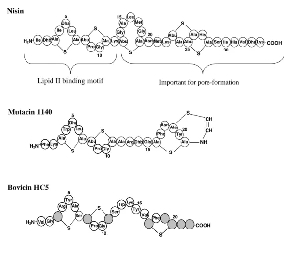 Figure 1: Comparison of primary structures of nisin, mutacin 1140 and bovicin HC5. In 