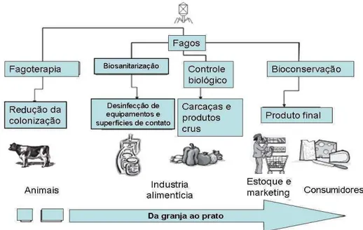 Figura 5-1. Campos de Aplicação - Bacteriófagos 