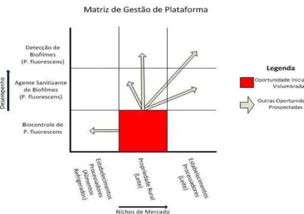 Figura 5-2. Matriz de Gestão de Plataforma 