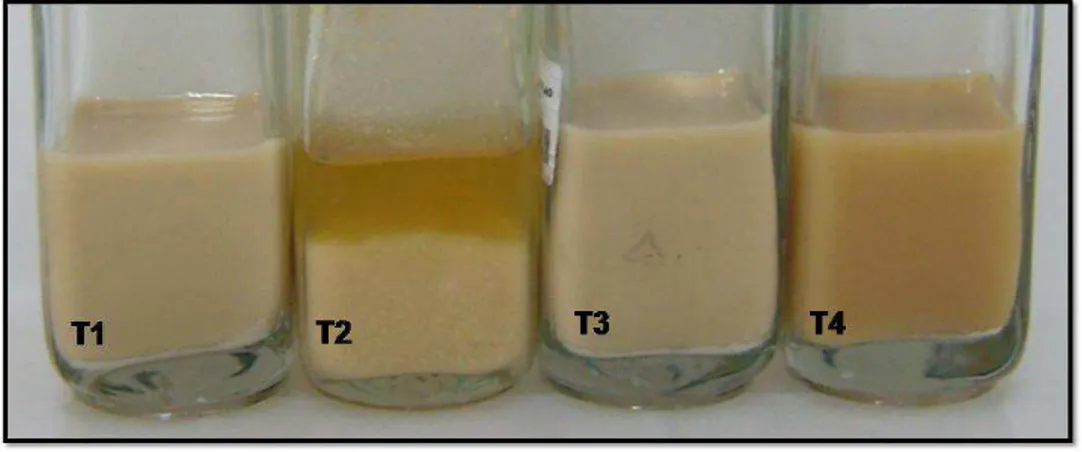 Figure  4-4.  Visual  effects  of  the  treatments  incubated  at  room  temperature.  Treatments  from  the  proteolysis  assay  were  incubated  at  room  temperature  during  five  days  and  the  visual  effects  caused  by  the  proteolytic  enzymes c