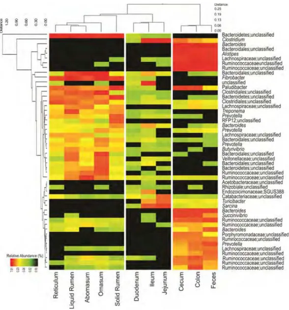 Fig. S2. Double hierarchical dendrogram representing bacterial diversity and relative  abundance of the 50 most common OTUs defined at 5 % distance level across the  Nelore GIT