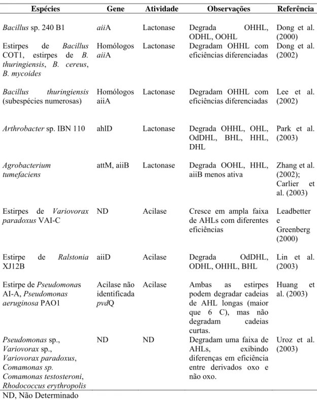 Tabela 3 – Exemplos de microrganismos capazes de degradar moléculas de  homoserinas lactonas aciladas 