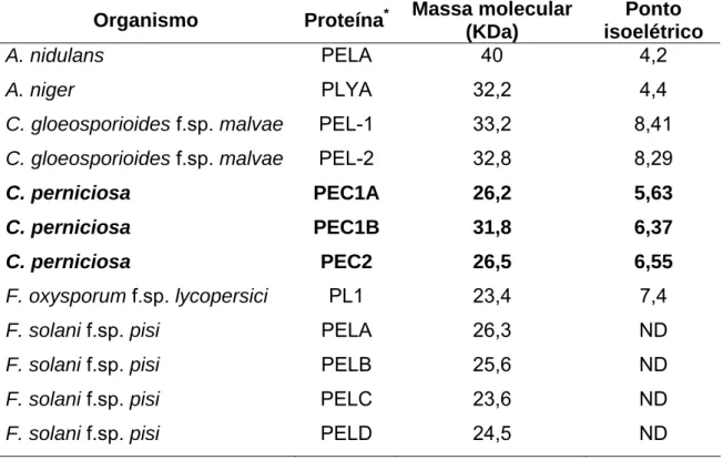 Tabela 1.  Comparação das massas moleculares e pontos isoelétricos entre   pectato liases de diferentes fungos fitopatogênicos