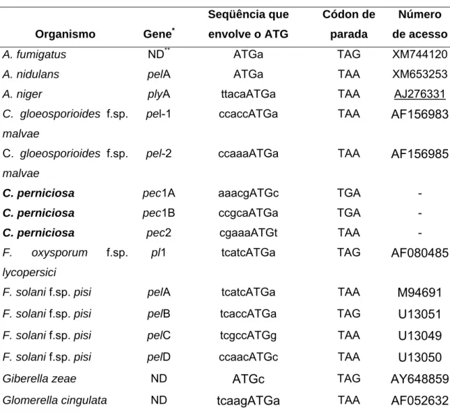 Tabela 2 . Análise das seqüências próximas do início da tradução e preferência  por códons de parada em genes que codificam pectato liase em  fungos filamentosos