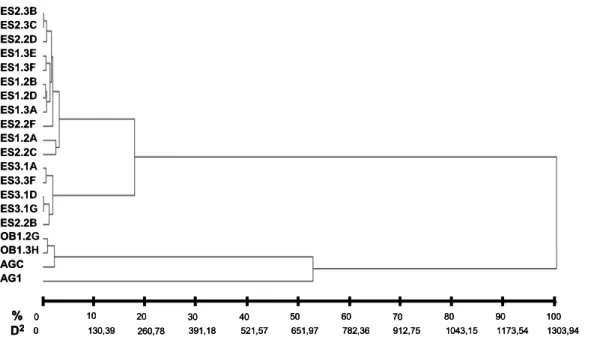 Figura 4: Agrupamento dos isolados de fungos rizoctonióides estudados  a partir da análise das características quantitativas utilizando a  distância de Mahalanobis e o método UPGMA