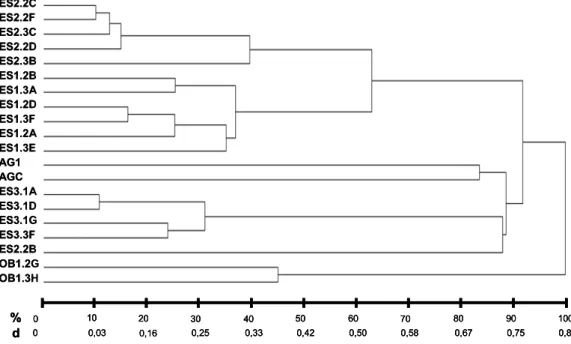 Figura 7: Agrupamento dos isolados de fungos rizoctonióides estudados  a partir da análise da dissimilaridade (d) calculada a partir do  padrão de bandas de RAPD utilizando o índice de Jaccard e o  método UPGMA