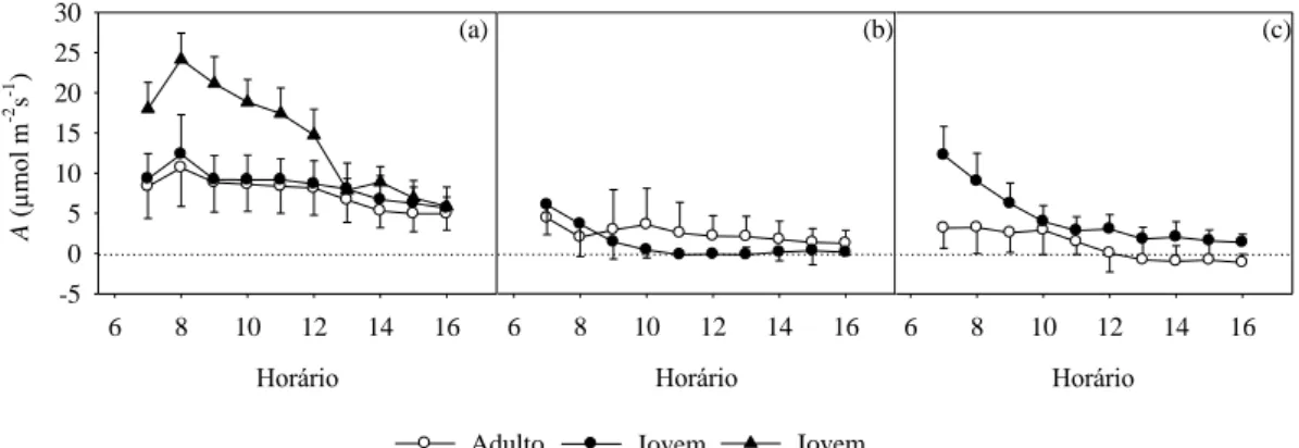 Figura  5.  Variação  horária  da  fotossíntese  líquida  (A)  nos  plantios  jovens  e  adultos  nos períodos (a) chuvoso, (b) intermediário e (c) seco
