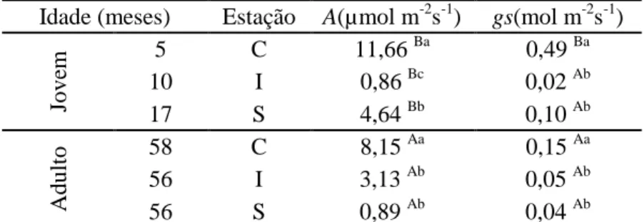 Tabela  1.  Valores  médios  diários  da  fotossíntese  líquida  (A)  e  da  condutância  estomática (gs) para as diferentes estações: chuvosa (C), intermediária (I) e seca (S)  nos plantios jovens e adultos de eucalipto