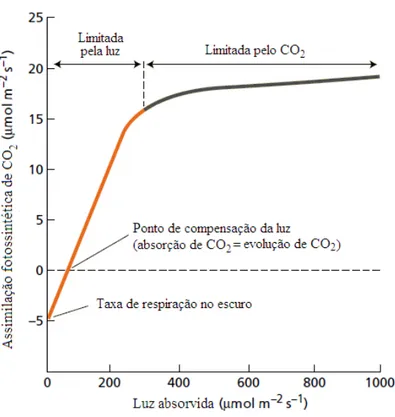 Figura 3 – Curva fotossintética de resposta à luz.  Fonte: TAIZ; ZEIGER, 2002. 