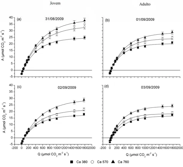 Figura 10 – Curvas de resposta da fotossíntese (A) em função da radiação (Q) em  clones de eucalipto sob três concentrações de CO 2  no inverno: (a) 