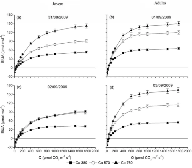 Figura 15 – Eficiência intrínseca do uso da água (EiUA) em função da radiação (Q)  medida no inverno em clones de eucalipto sob tratamentos de 380, 570 e 