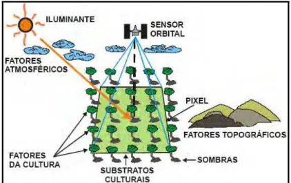 Figura 5 Fatores que influenciam a resposta espectral dos dosséis. Fonte: Moreira (2000).