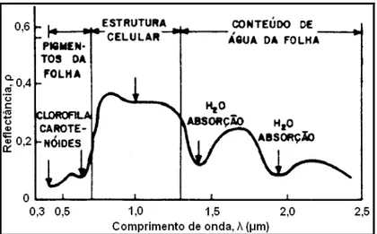 Figura 6 Curva de reflectância típica de uma folha verde. Fonte: Adaptado de Novo (1992).