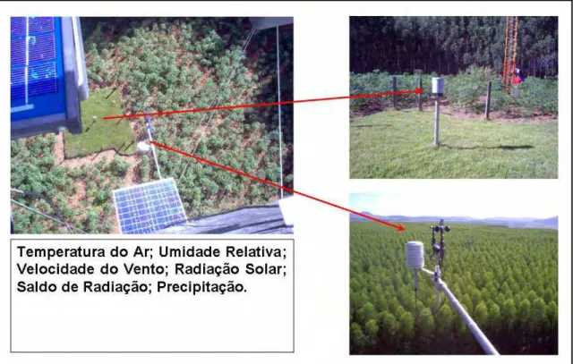 Figura 11. Visualização dos instrumentos de medidas meteorológicas do sítio BA712.  