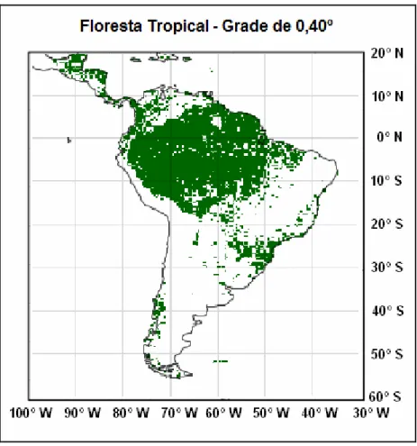 Figura 15. Mapa da cobertura do solo assimilada para o bioma de floresta tropical da  América do Sul em uma grade de 0,40º