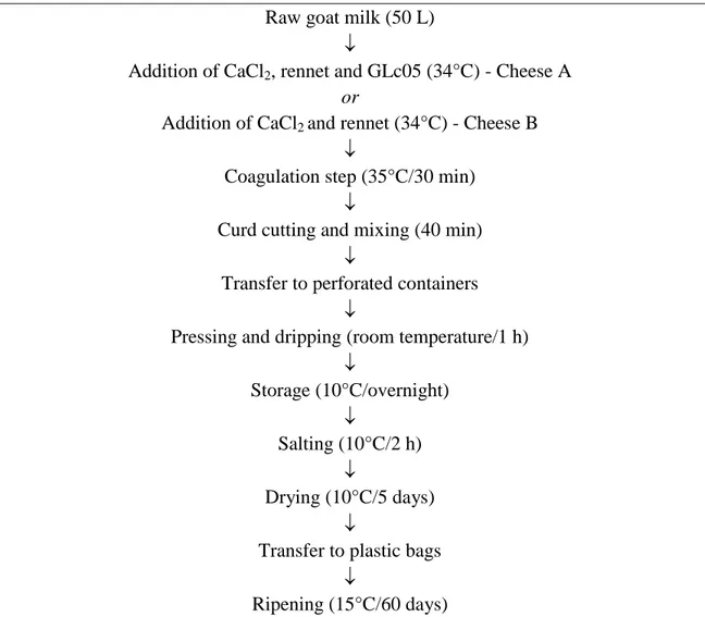 Figure 1. Diagram for Minas cheese production, demonstrating the differences for  cheese A and cheese B production in the second step of processing