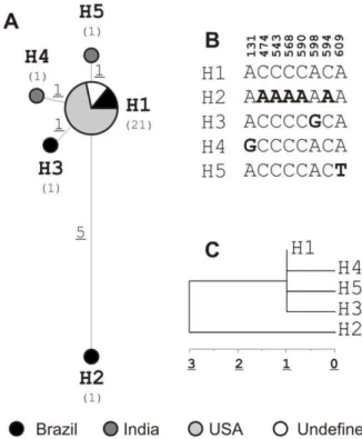 Figure  1.  Median-joining  (MJ)  network  of  haplotypes  from  Mycobacterium  avium  subspecies  paratuberculosis  IS900  sequences