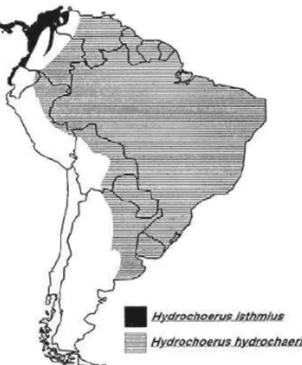 Figura 1: Distribuição geográfica de duas espécies de capivara (Hydrochoerus 