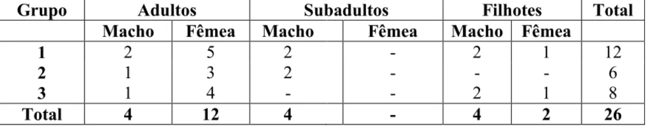 Tabela  1:  Composição  dos  grupos  de  capivaras  observados  na  região  central  do  Campus da Universidade Federal de Viçosa  – Viçosa-MG