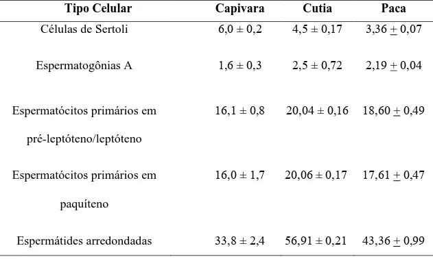 Tabela     Populações celulares no estádio 1 do ciclo do epitélio seminífero de pacas  adultas, em valores corrigidos segundo AMANN (1962) (média ± desvio padrão)