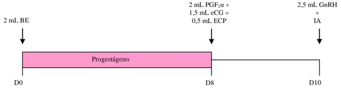 Figura  1.  Protocolo  hormonal  para  IATF  utilizado  nas  vacas  primíparas  (D0  -  depositado  no 
