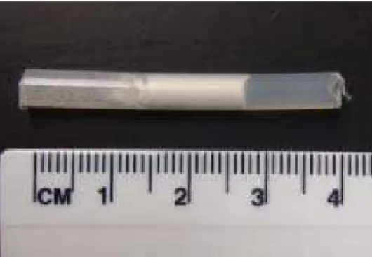 Figura 3. Implante subcutâneo de estradiol contendo em seu interior uma  coluna de 10 mm de estradiol 17-  cristalino em pó