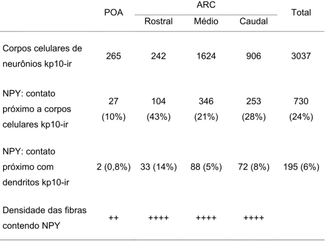 Tabela 1. Distribuição dos corpos celulares imunorreativos para kisspeptina  (kp10-ir), número de contatos próximos entre axônios contendo NPY e corpos  celulares ou dendritos kp10-ir, e densidade das fibras contendo NPY na área  pré-óptica (POA) e núcleo 