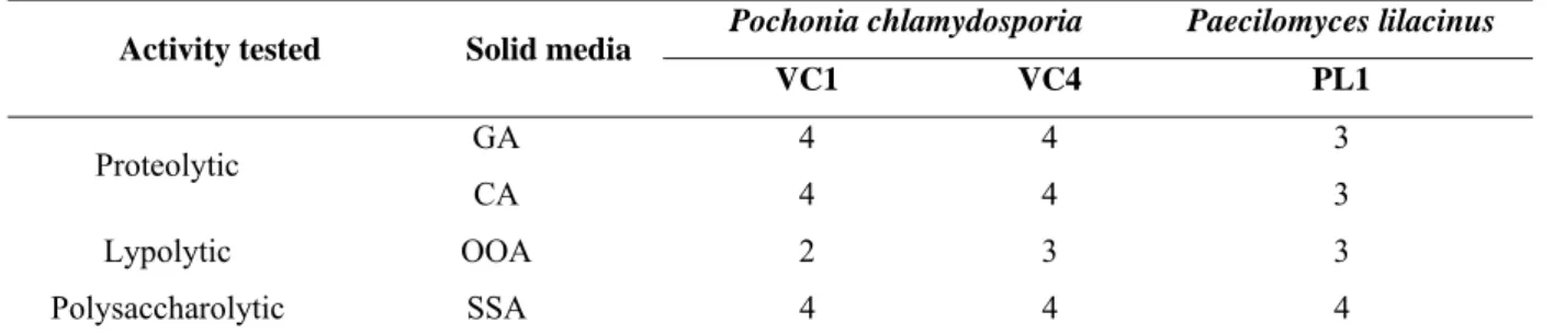 Table 1 Enzymatic activity of Pochonia chlamydosporia (VC1 and VC4) and Paecilomyces 